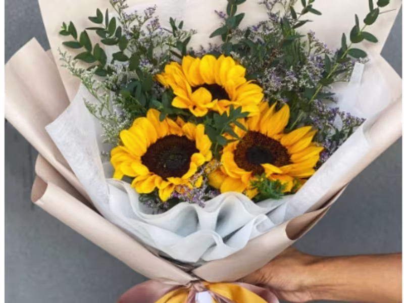 Cover image for TikTok Marketing Campaign Development