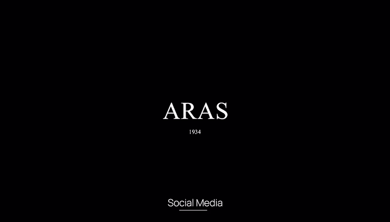 Cover image for Social Media | Aras Diamonds