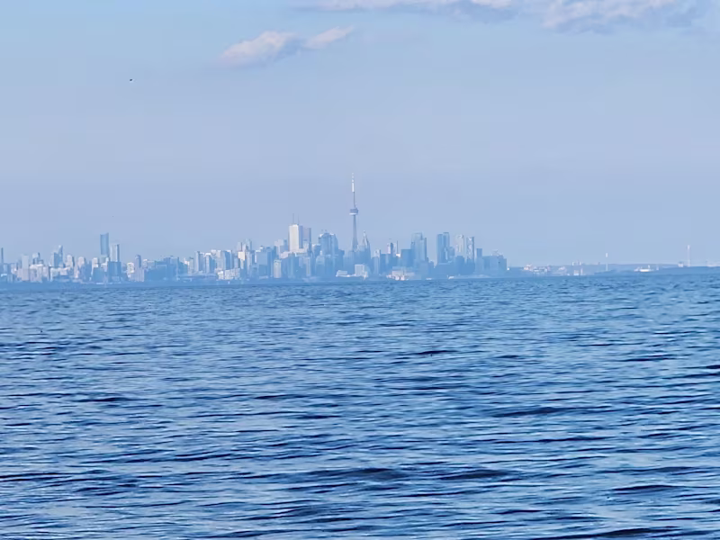 Cover image for ImexPort