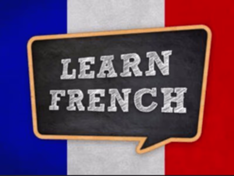 Cover image for Master Your French 