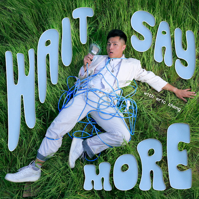 Cover image for Wait, Say More Cover Art