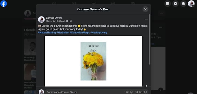 Cover image for Book Promotion 
