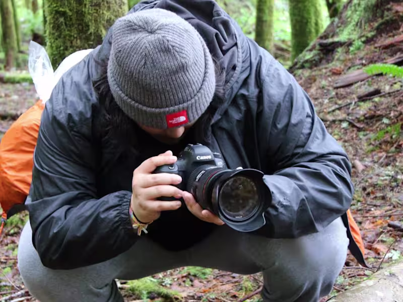 Cover image for Video Marketing Consulting