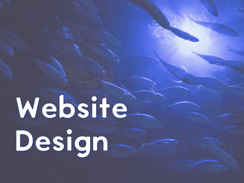 Cover image for Web Design That Connects, Converts, and Captivates