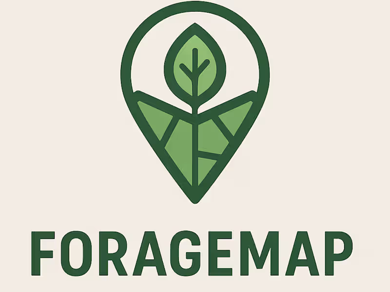 Cover image for 🚀 Built a full app in 1 weekend: ForageMap.com (http://Fora...