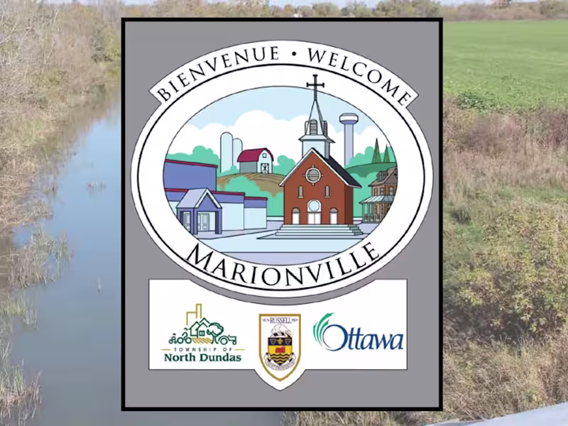 Cover image for Local author publishes history of Marionville