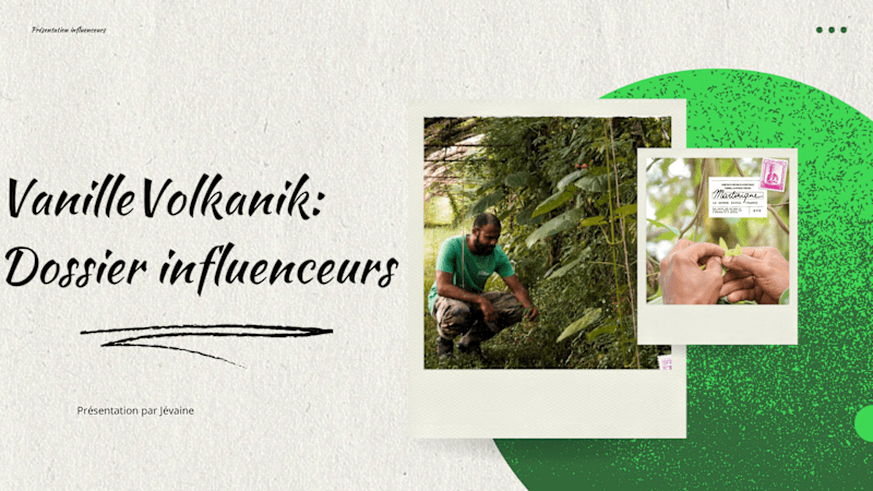 Cover image for Influencer campaign