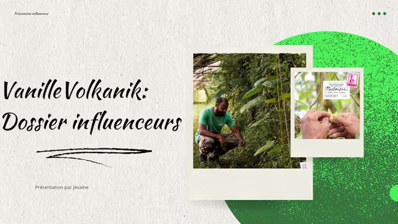 Cover image for Influencer campaign