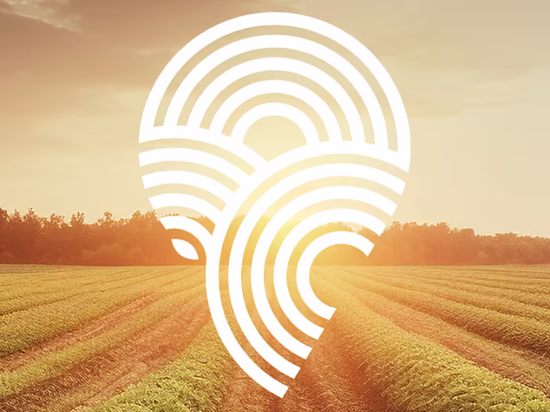 Cover image for Strategic rebranding for Ruralbens