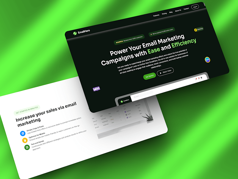 Cover image for EmailHero Landing Page Development