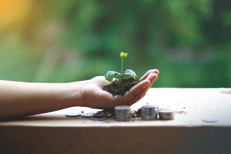 Cover image for Green Banking Revolution: Climate-Conscious Financial Solutions
