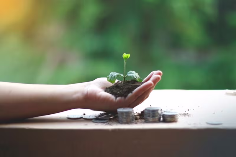 Cover image for Green Banking Revolution: Climate-Conscious Financial Solutions