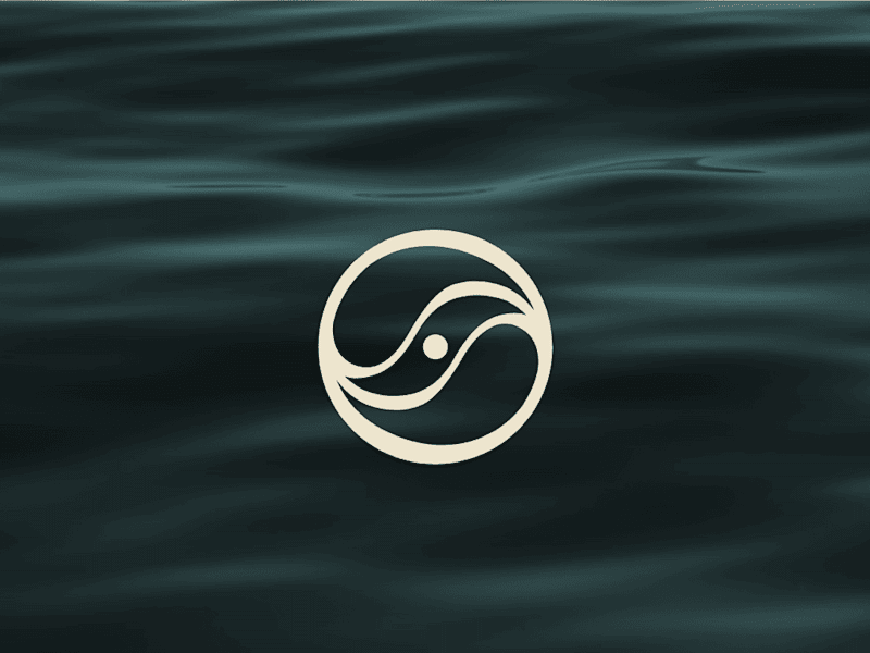 Cover image for Visual Brand Kit Projeto Ondinas