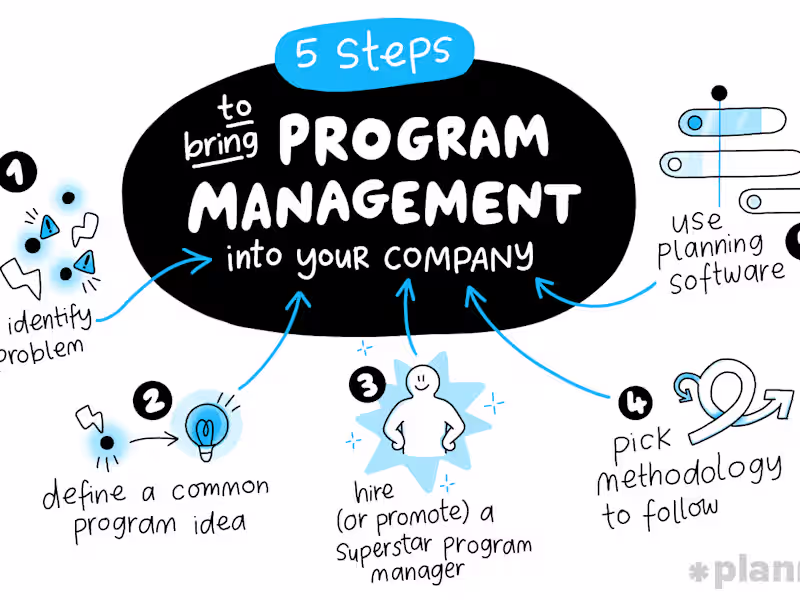 Cover image for Program Management 