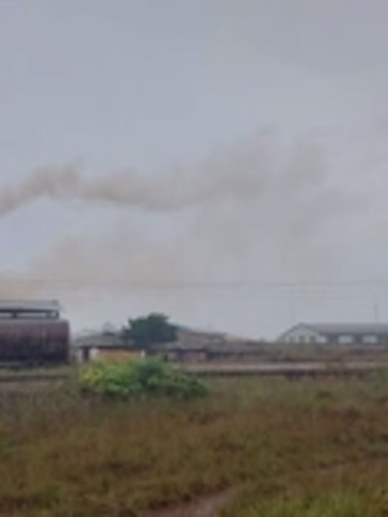 Cover image for Environmental Activism and Issues