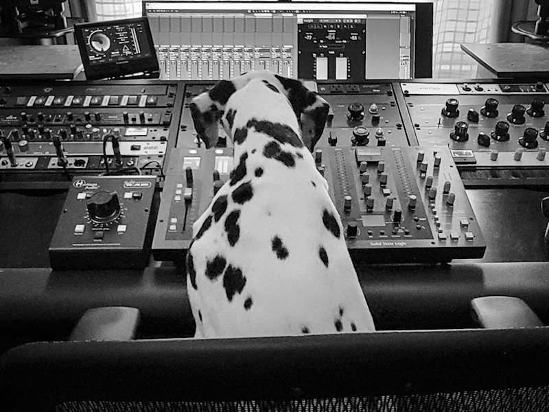 Cover image for Mastering Music That Helps Resonate Directly with Your Audience