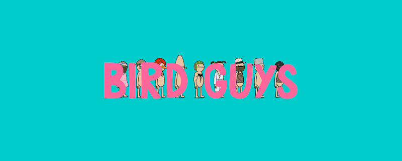 Cover image for Bird Guys