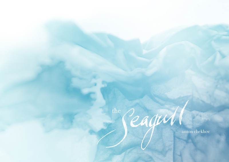 Cover image for The Seagull Postcards.