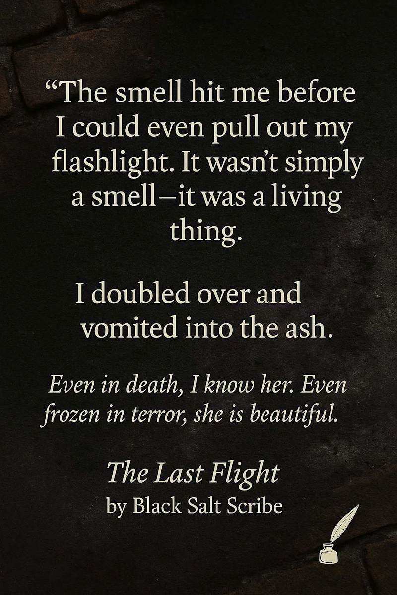 Cover image for The Last Flight | TL;DR Contest Entry