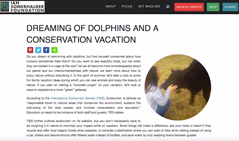Cover image for IS Foundation: Ecotourism 