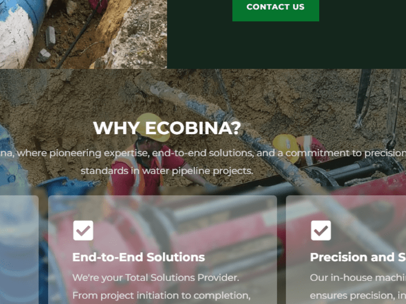 Cover image for Ecobina