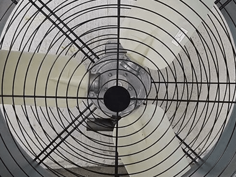 Cover image for Industrial Ceiling Fan Singapore