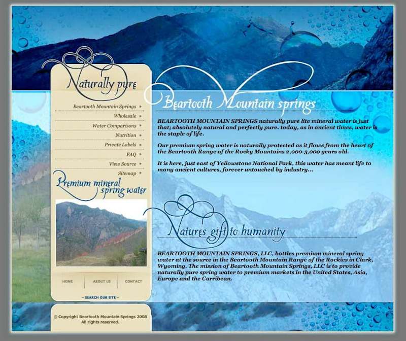 Cover image for Website Design