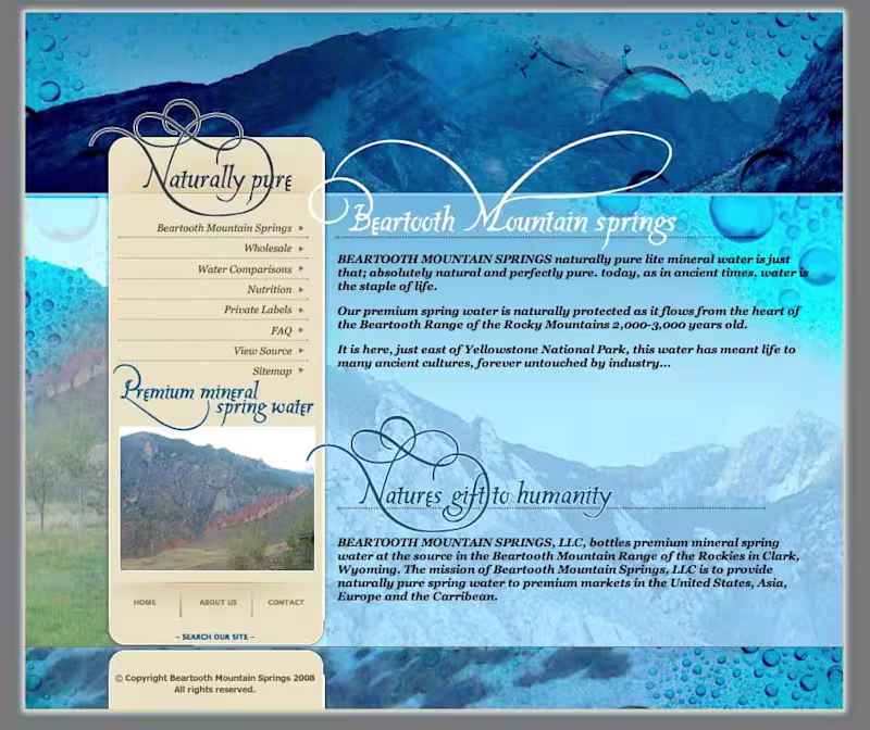Cover image for Website Design
