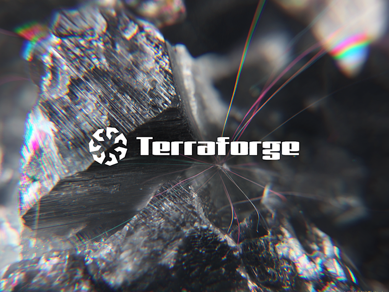 Cover image for Terraforge Brand System Development