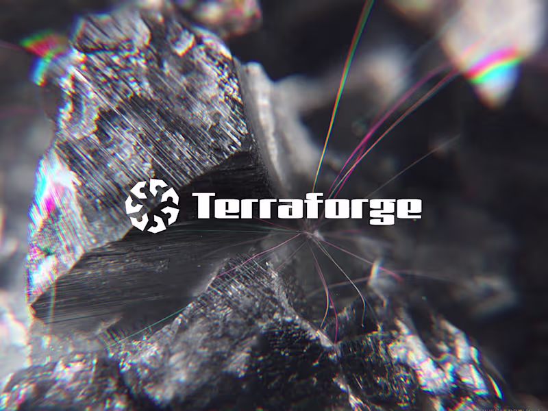 Cover image for Terraforge Brand System Development