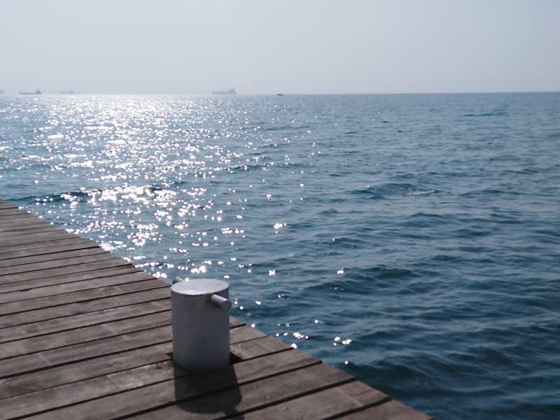 Cover image for Writing, translation and photography