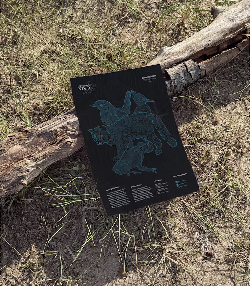 Cover image for Un Tesoro Vivo | Campaign 