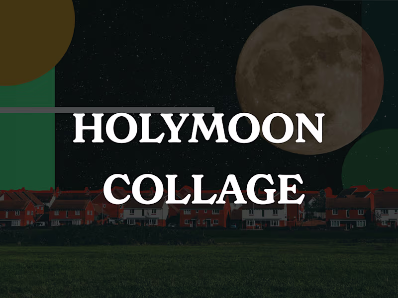 Cover image for Holymoon