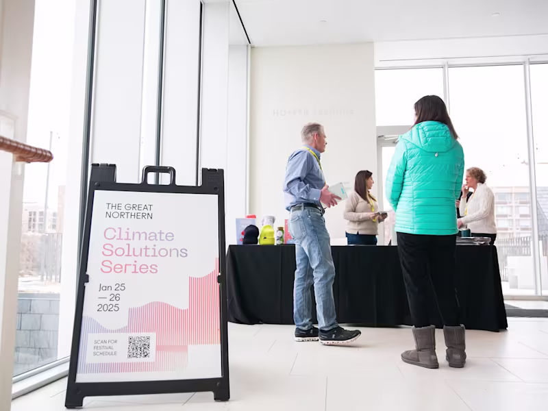 Cover image for The Great Northern Festival | Branding & Marketing Collateral