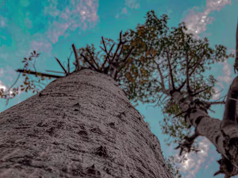 Cover image for Video editing