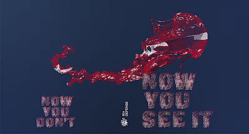 Cover image for Book ‘Now You See It‘