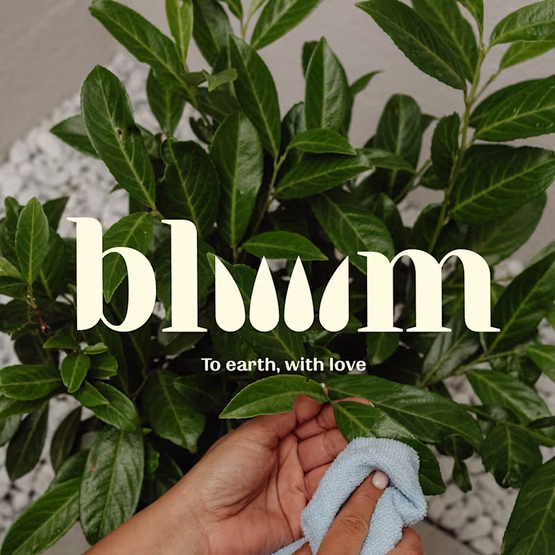 Cover image for bloooom | Branding and Packaging