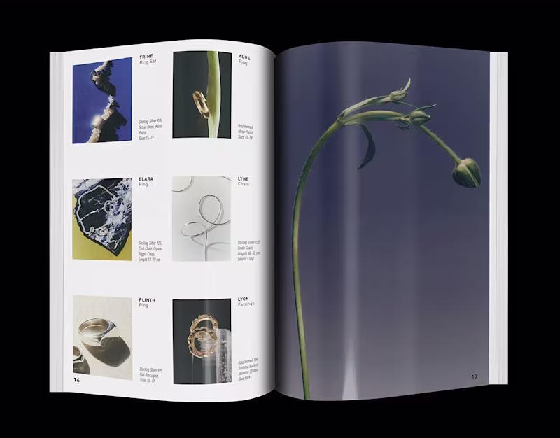 Cover image for Alloy | Jewellery Lookbook