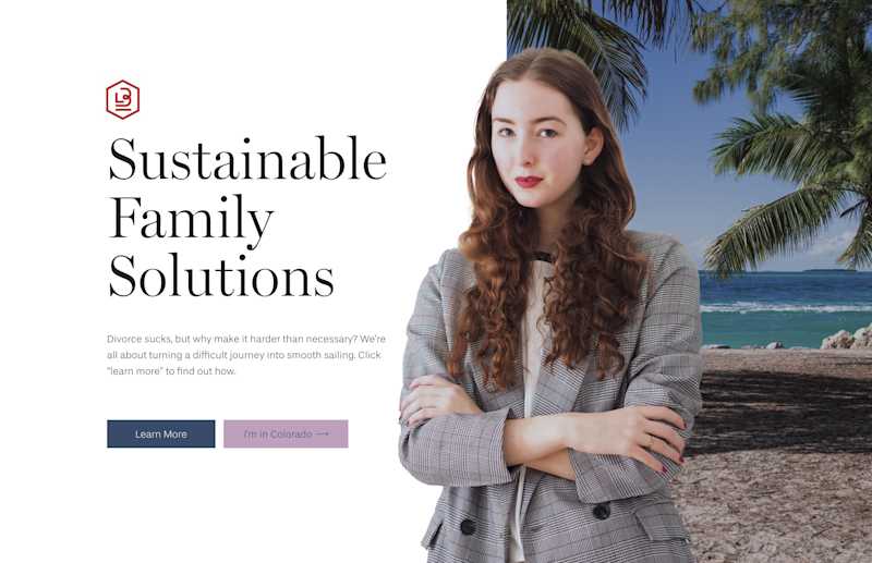 Cover image for Family Law Web Copy Sample Pages