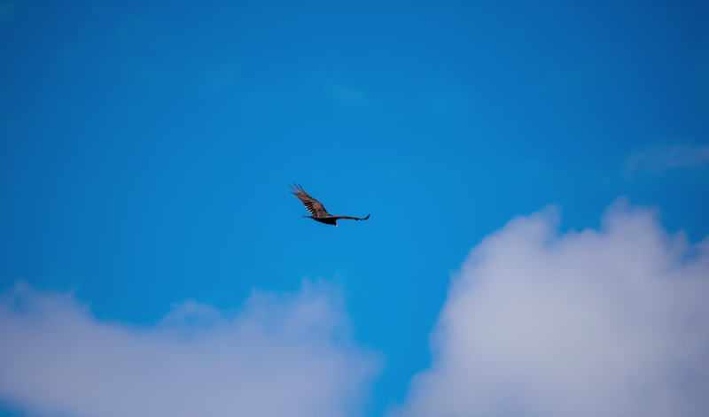 Cover image for Some more of my photography.