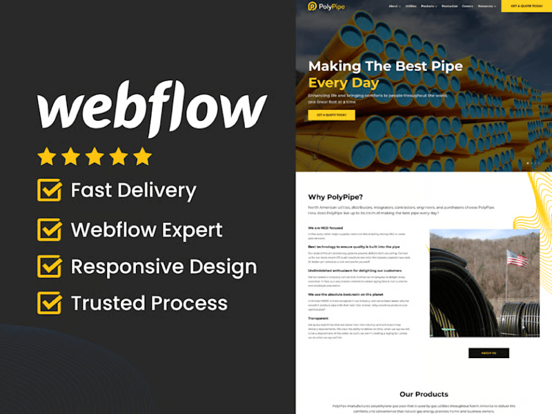 Cover image for Webflow Development