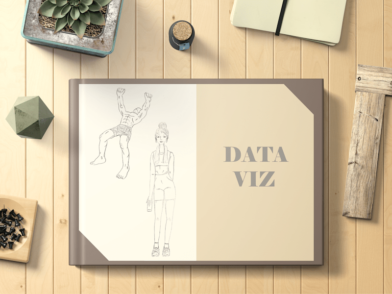 Cover image for Data Visualization