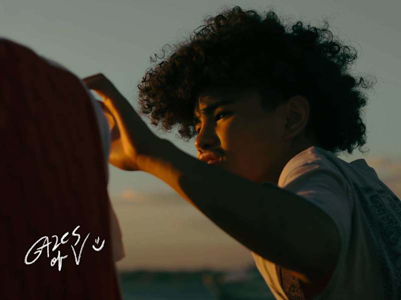 Cover image for Gazes of V