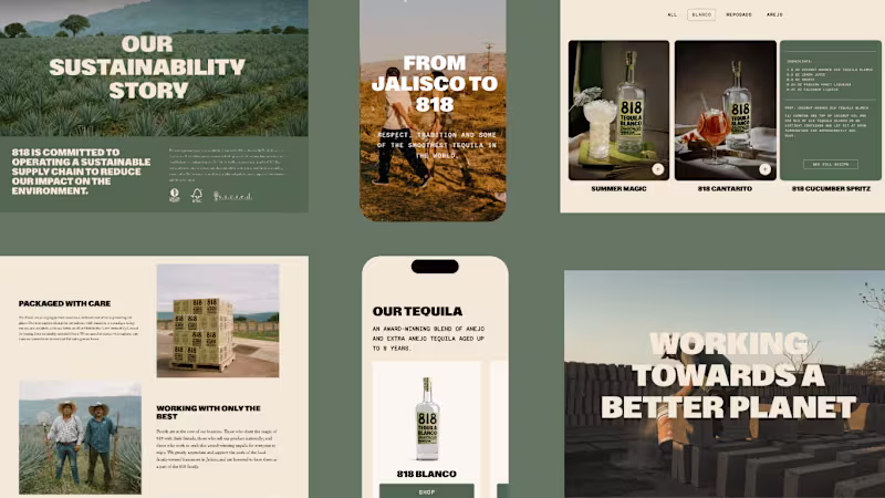 Cover image for Shopify Web Design for Award wining Tequila Brand