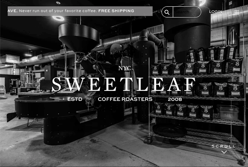Cover image for Web Revamp and Brand Strategy Development