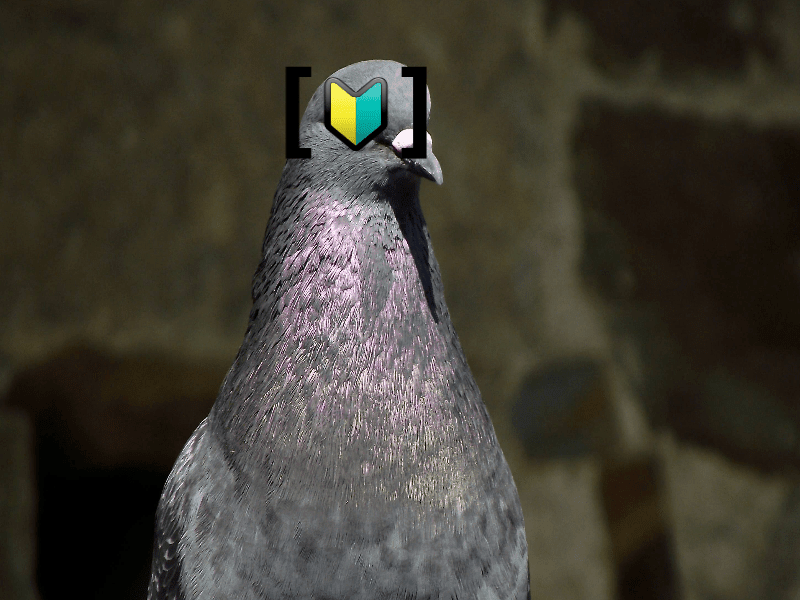 Cover image for Columbidae!