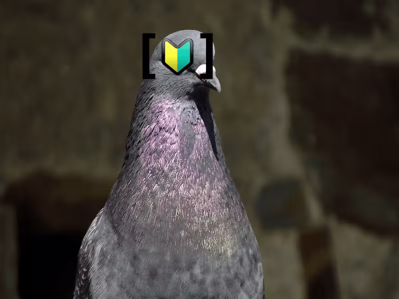 Cover image for Columbidae!
