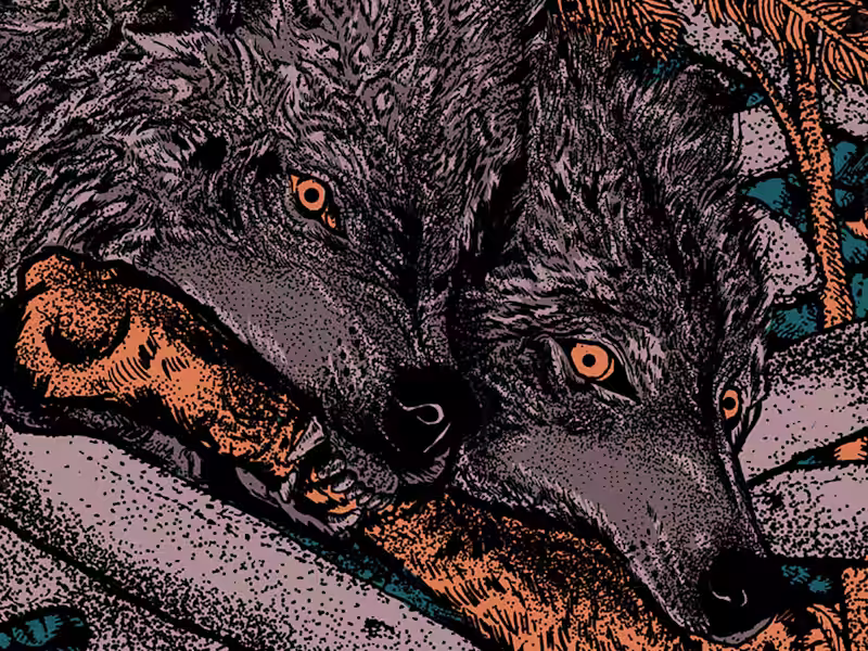 Cover image for Illustration - Breathles Reatless