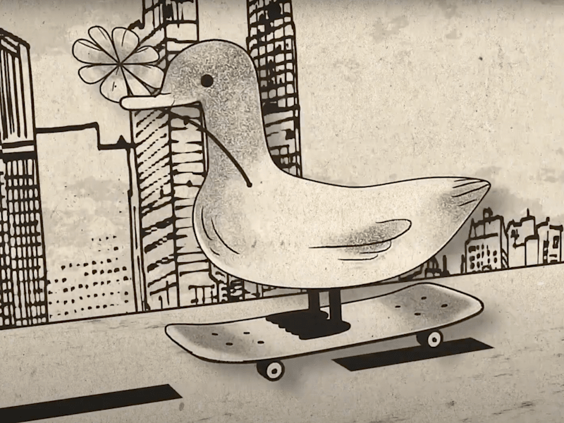 Cover image for Duckskate