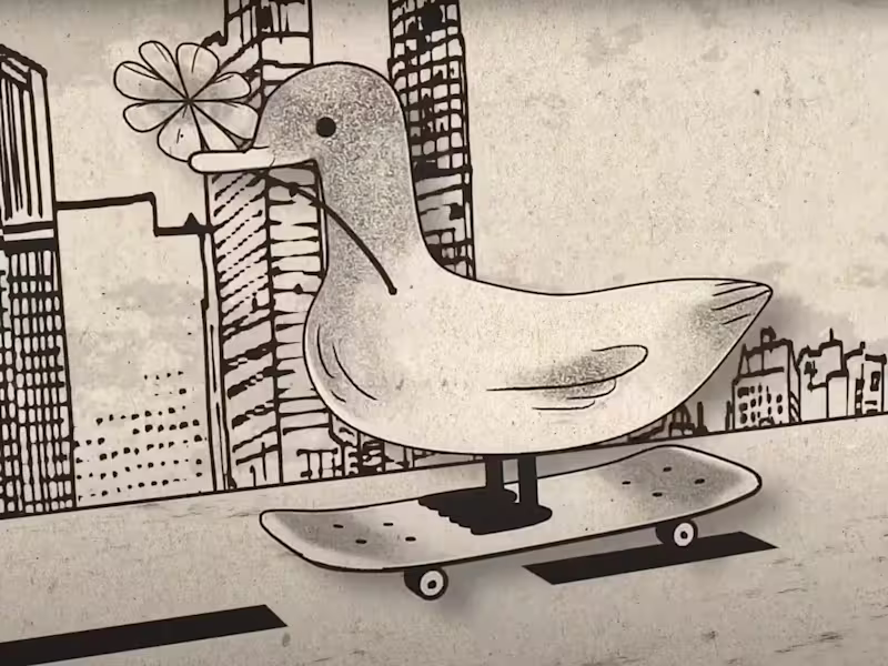 Cover image for Duckskate